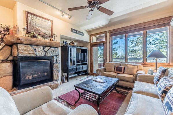 TV, fireplace
