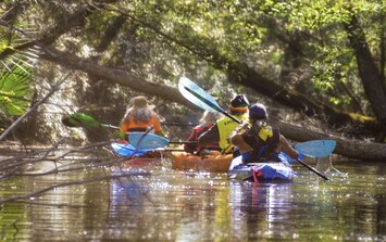 Image of Relaxing River House