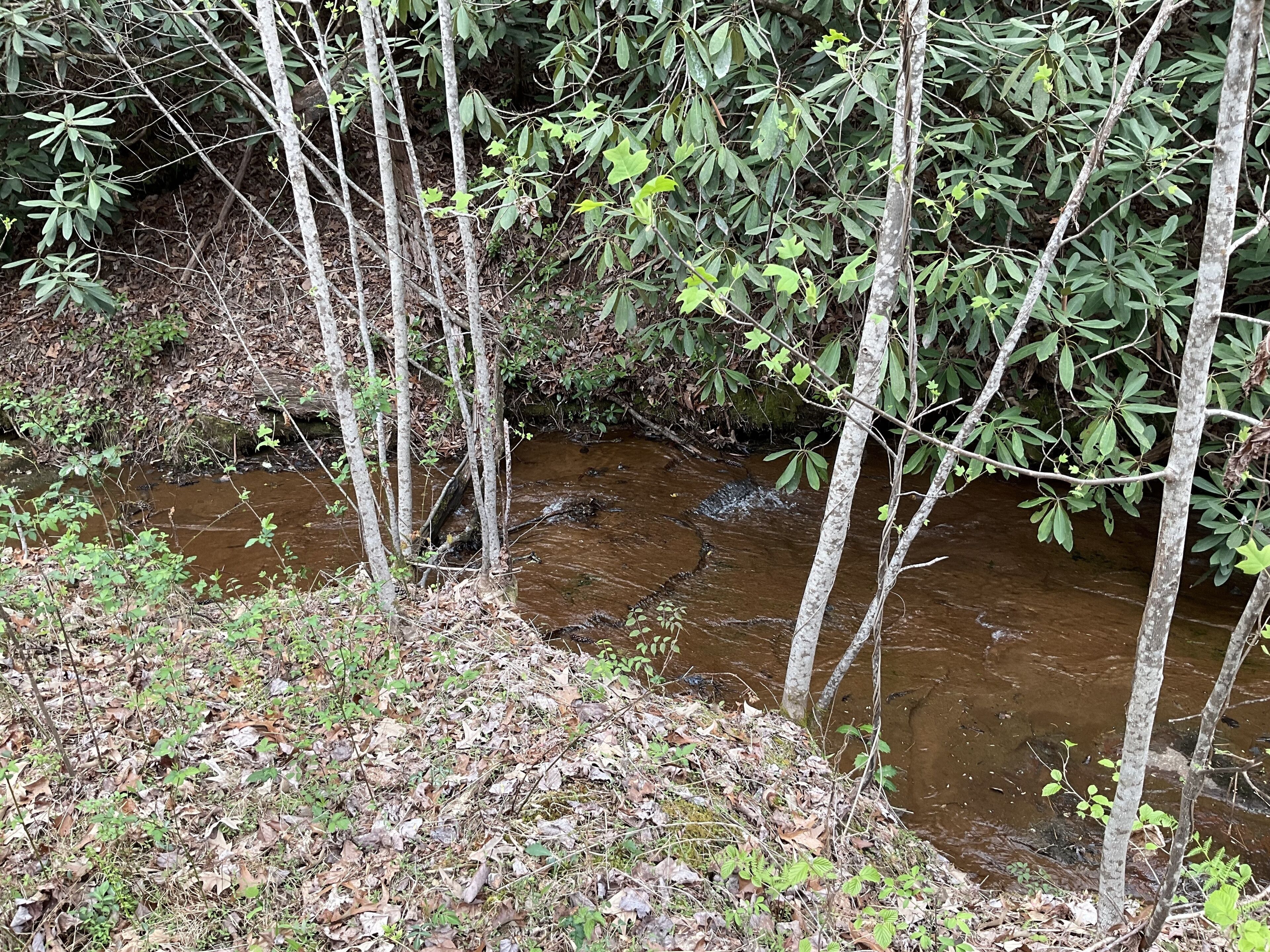 Tallulah Gorge Guest Suite One