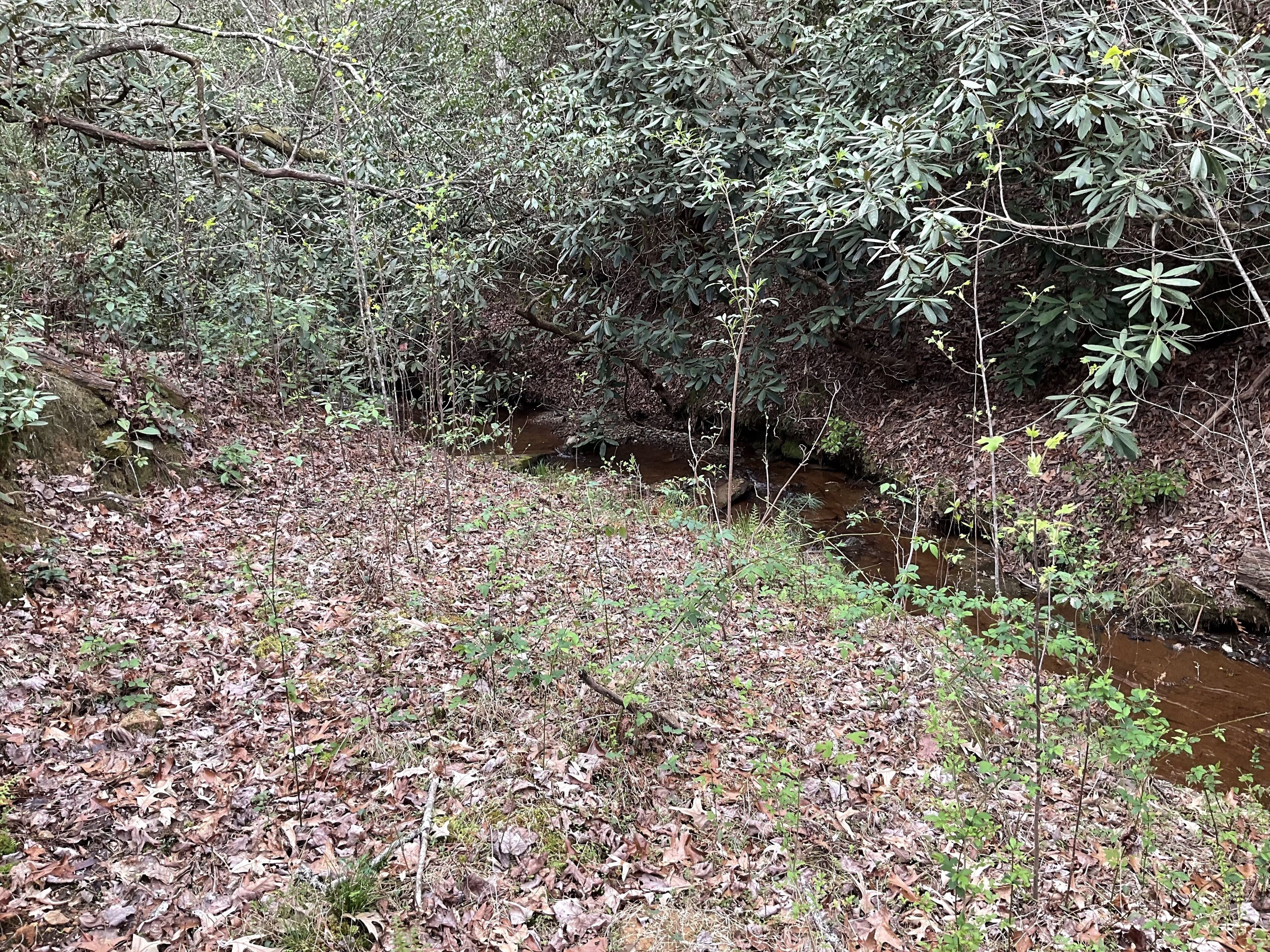 Tallulah Gorge Guest Suite One