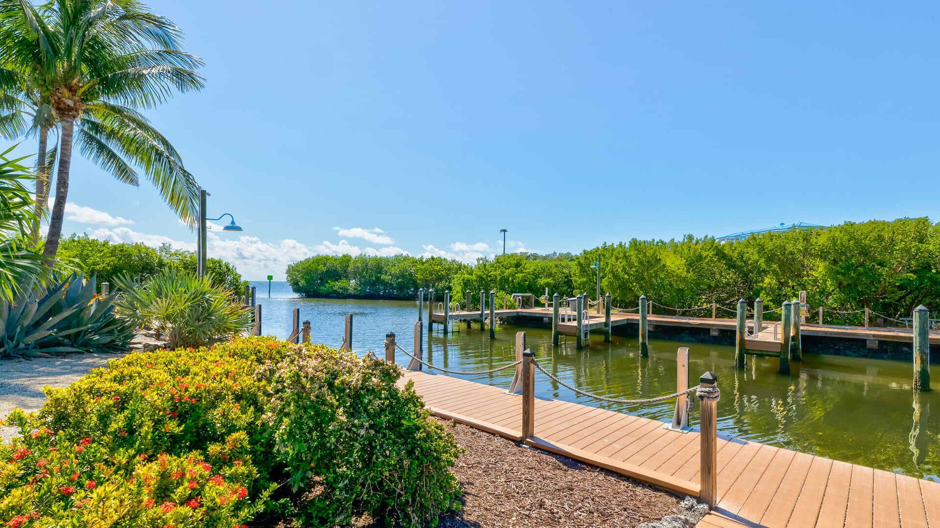 A wooden dock extending into a calm body of water, surrounded by lush greenery and palm trees.