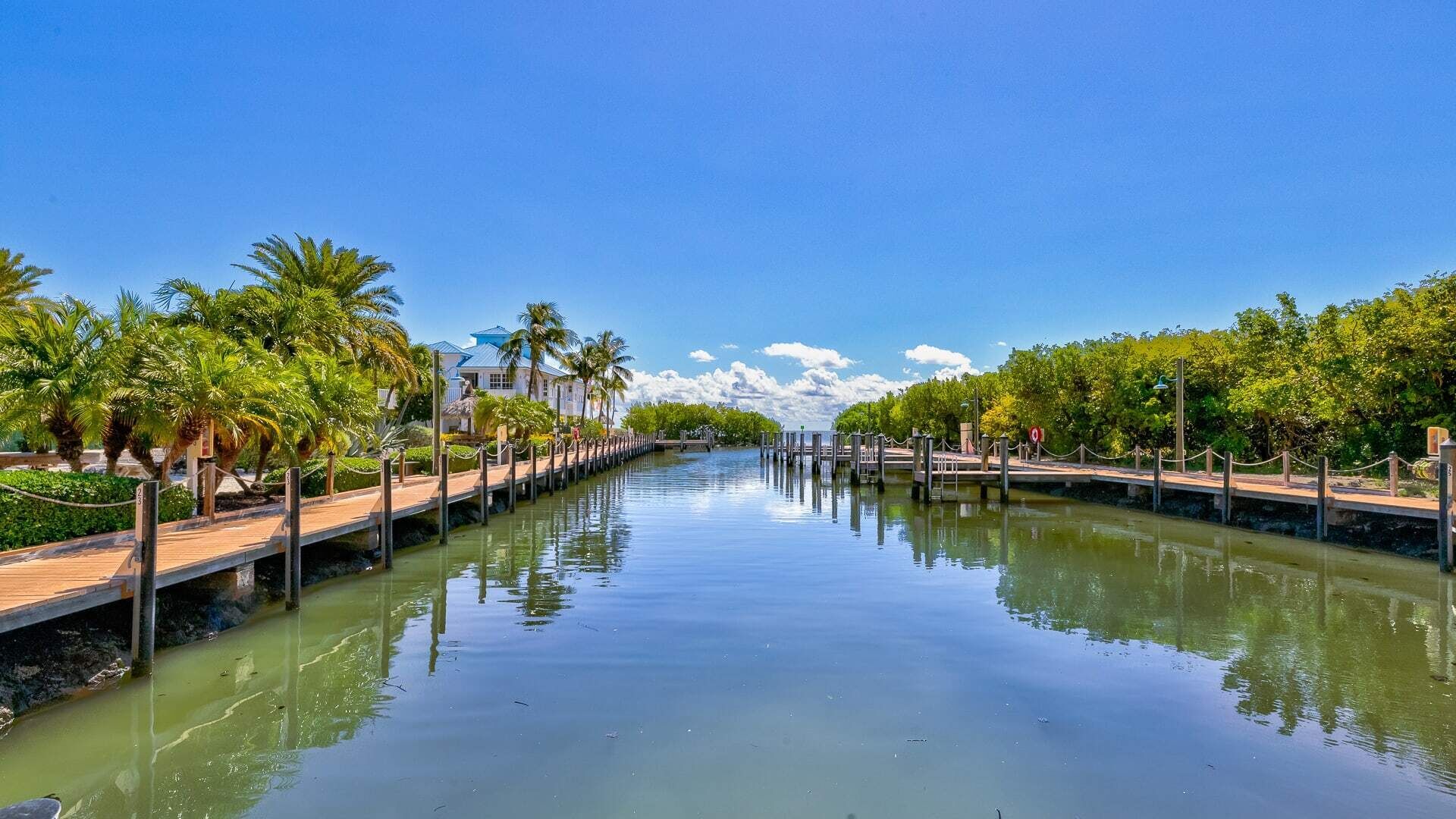 A canal with wooden walkways, palm trees, and a building with a blue roof.