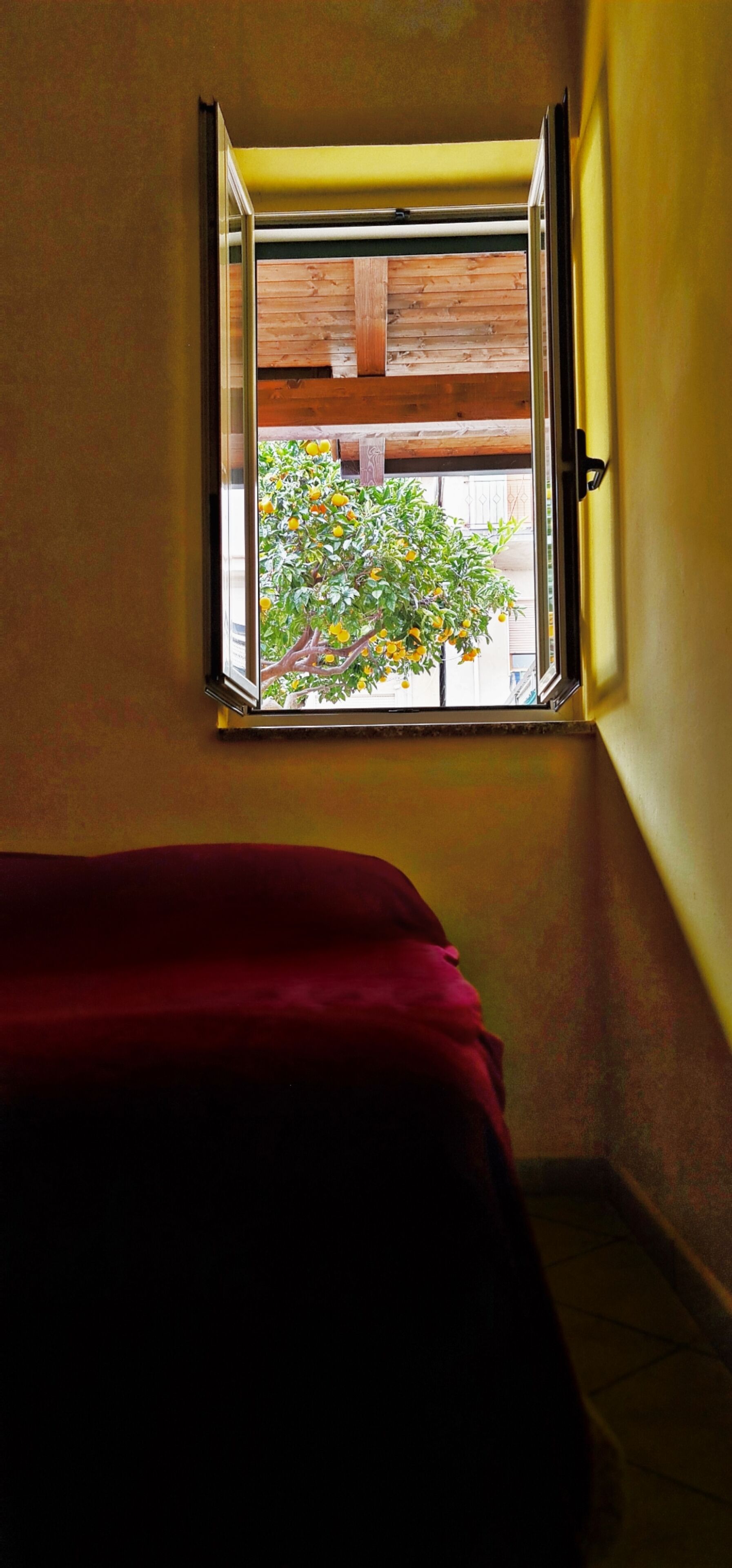 TROPEANA HOLIDAY HOUSE WITH GARDEN