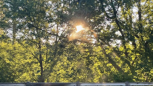 A swimming pool with a wooden fence and trees in the background. - NEW LISTING: Large Creemore farmhouse on 50 acres with Tennis and Pool (Honeywood)