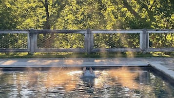 Piscine extérieure, piscine chauffée