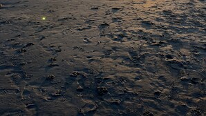 A beach with footprints and a sunset in the background. - NEW home in 2023 w/ elevator! Perfect family getaway in Emerald Isle, sleeps 11! (Emerald Isle)