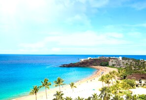 Ein Küstenresort mit Strand, Palmen und Meerblick.