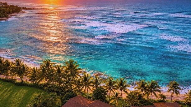 Una playa tropical con palmeras y olas oceánicas al atardecer.
