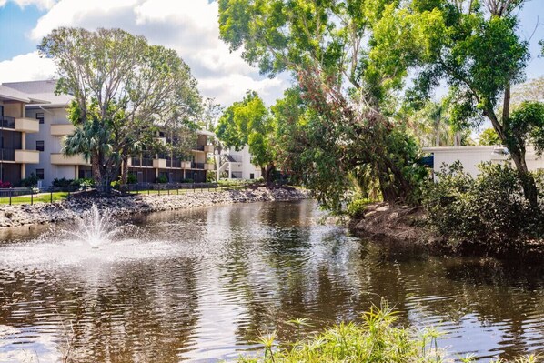 Property grounds - Park Shore Resort-1stFloor BLDGJ#154 (Naples)