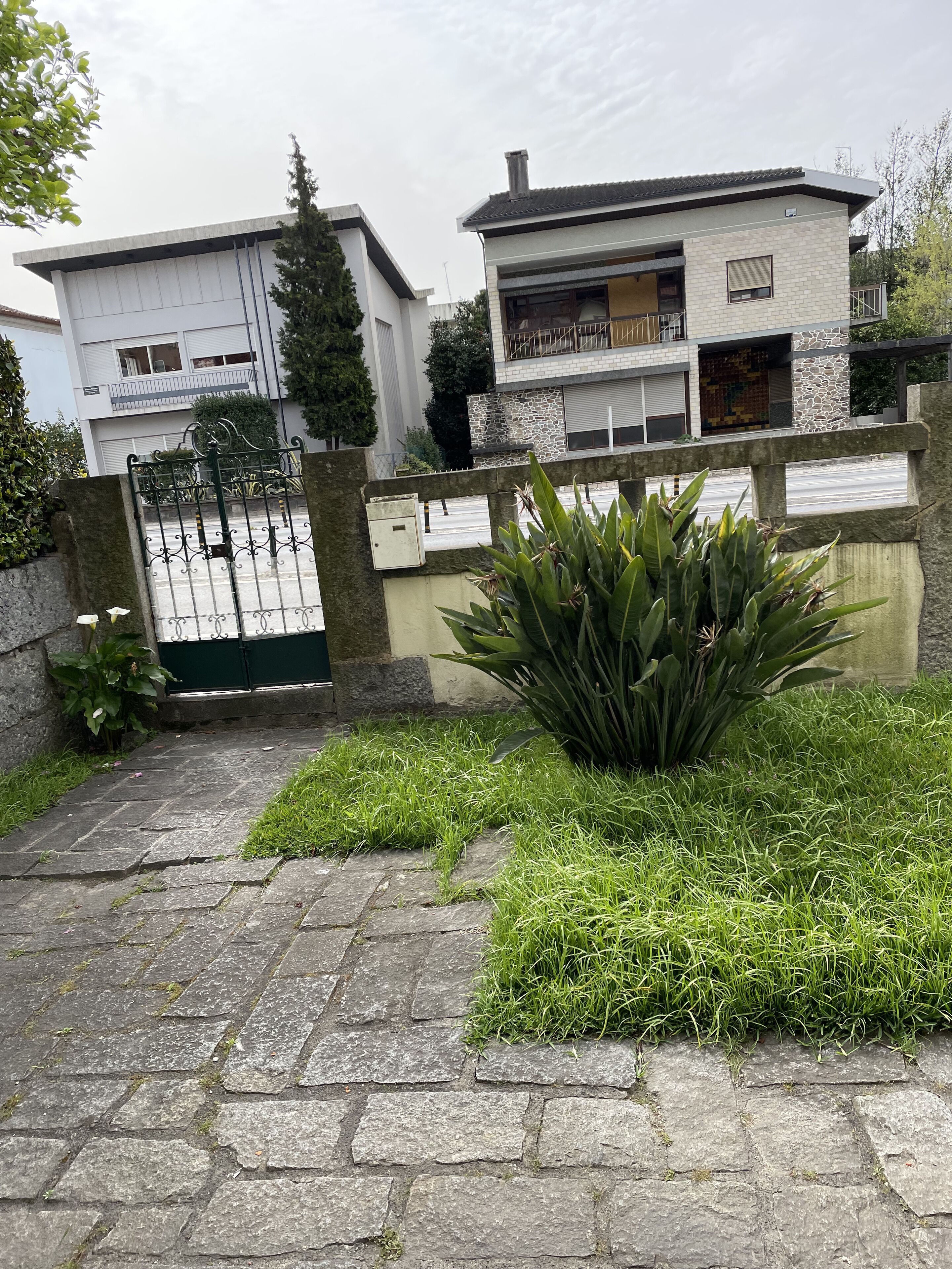 A residential area with a gated entrance, a stone pathway, and a well-maintained lawn with a large plant.