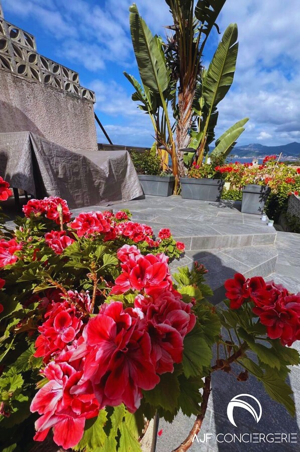 Jardines del alojamiento