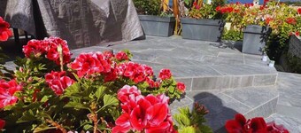 Loue Villa Jumelée à Proximité de Belles Plages