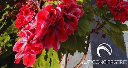 Loue Villa Jumelée à Proximité de Belles Plages