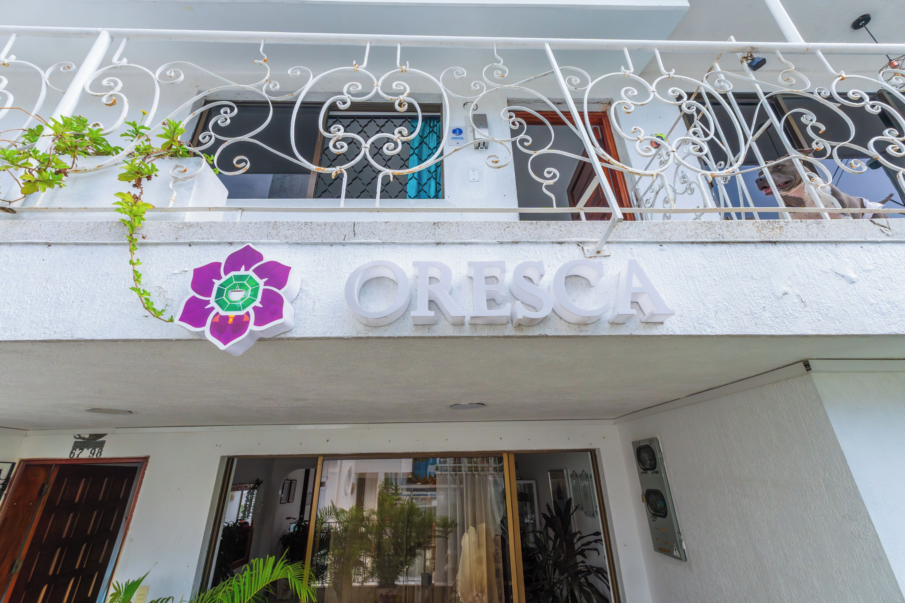 A building with a sign reading "ORESCIA" and a decorative flower design.