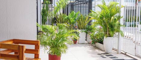 A balcony with potted plants, a wooden chair, and a white fence.