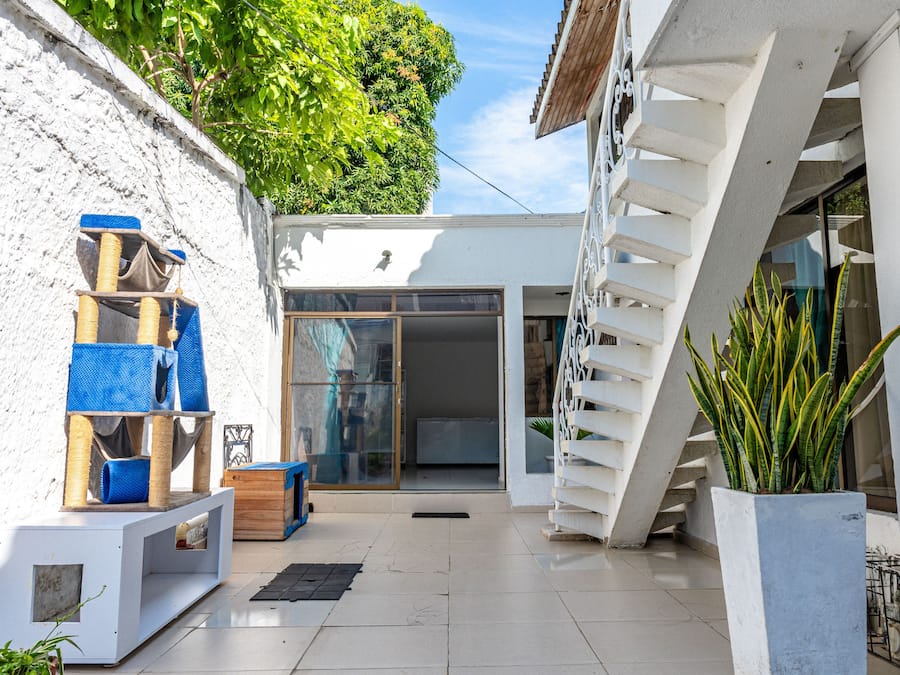 A modern outdoor area with a white wall, a cat tree, a wooden bench, and a potted plant.