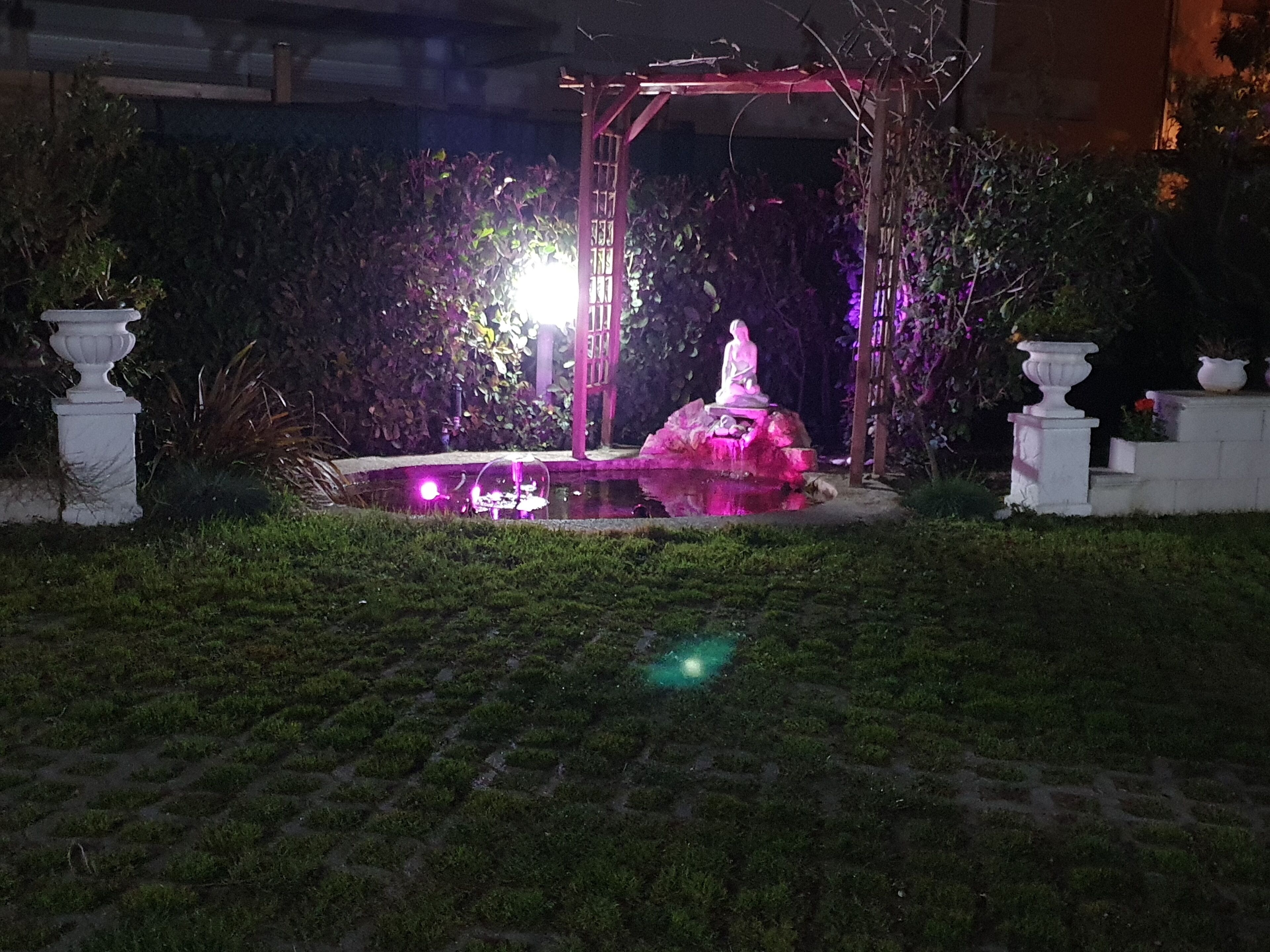 Een tuin met een standbeeld, een vijver en een pergola.