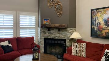 TV connectée, cheminée, jeux vidéo, lecteur de DVD