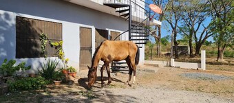 Apartment with all you need at home, great location 5 minutes from Granada  town