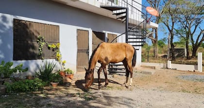 Apartment with all you need at home, great location 5 minutes from Granada town