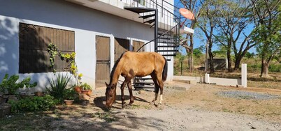 Apartment with all you need at home, great location 5 minutes from Granada  town