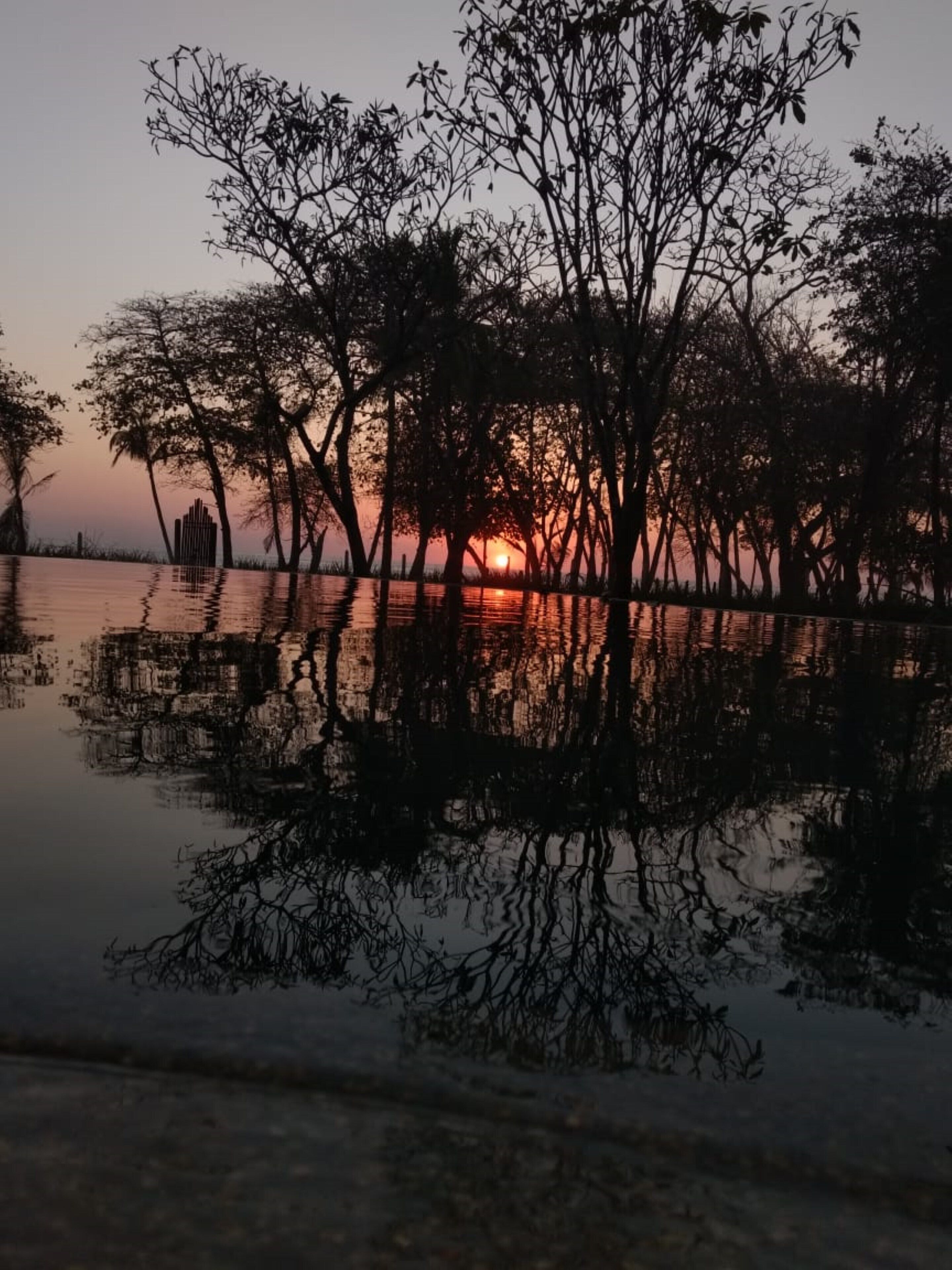 A sunset over a calm body of water with trees silhouetted against the sky.