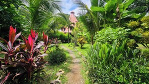 A garden path leading to a house with a red roof, surrounded by lush greenery and tropical plants. - Don Jons Lodge -Surf & Yoga (Cóbano)