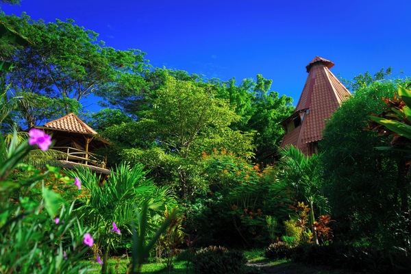 Comfort Apartment, 2 Bedrooms | Garden view