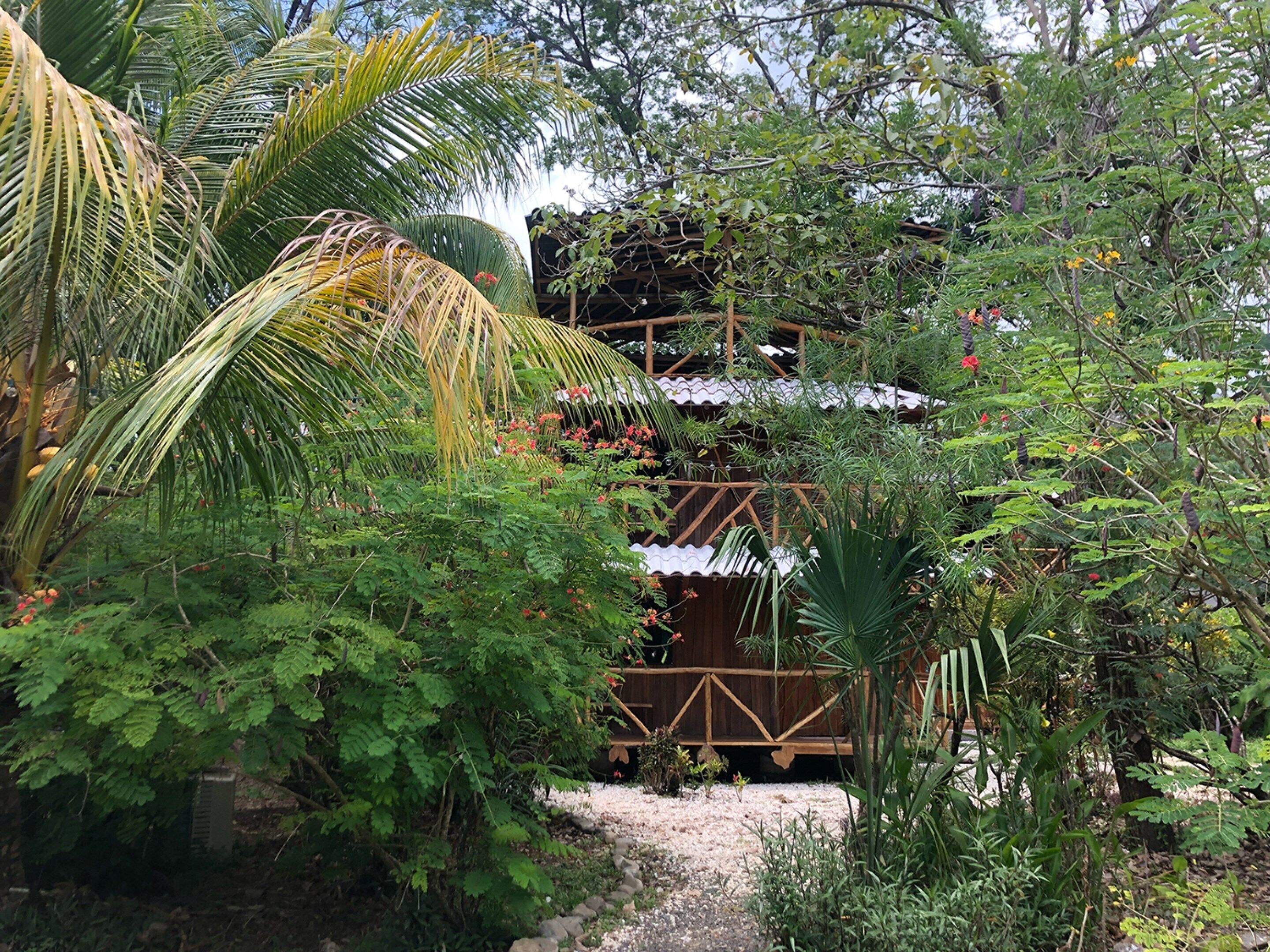 Una estructura de madera rústica rodeada de vegetación exuberante y plantas tropicales.