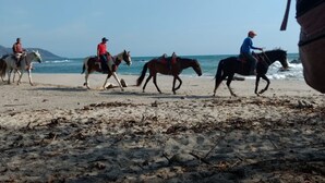 A beach scene with people riding horses along the shore. - Don Jons Lodge -Surf & Yoga (Cóbano)