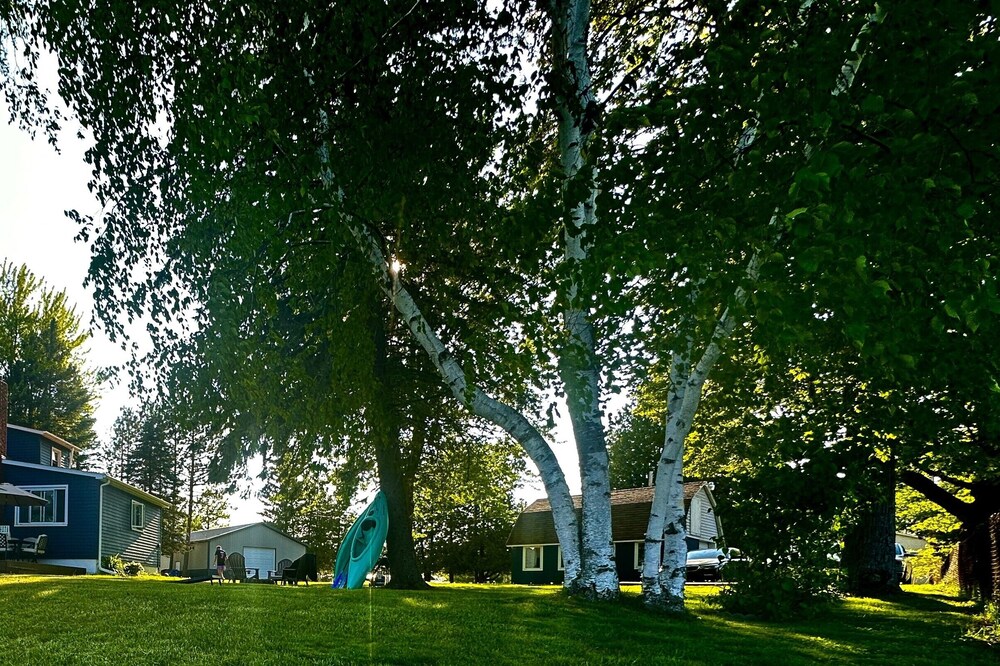 "Hale" of a Get - Away! Charming lakefront cottage on all sports Long Lake.
