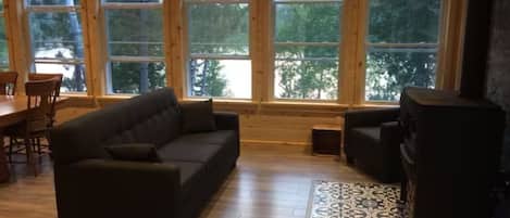 Smart TV, chimenea, reproductor de DVD y libros