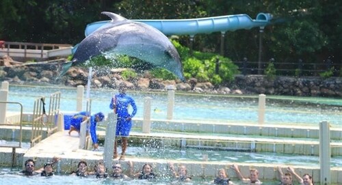 Casa 1738<br>Spacious and Modern home with sea view, 2 mins from Puerto Seco beach