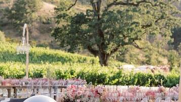 Restauration en plein air