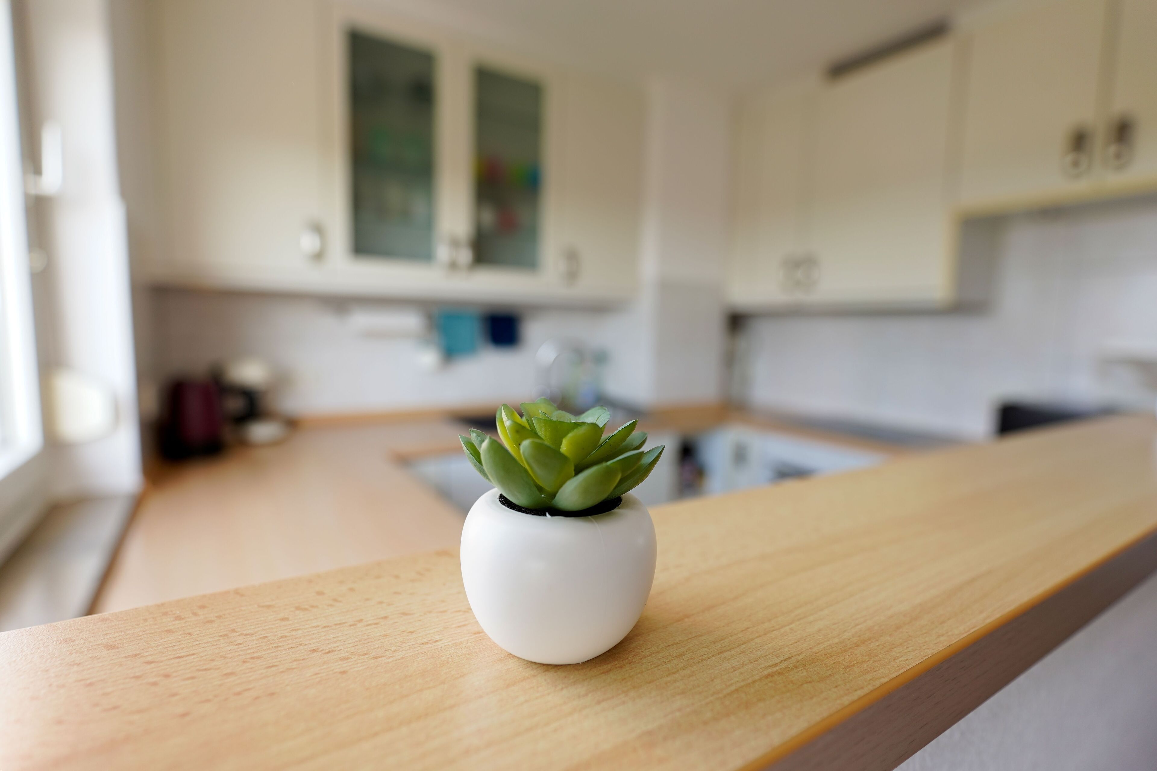 Kühlschrank, Ofen, Herdplatte, Geschirrspüler