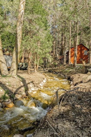 Property grounds - Modern Rustic Cabin in Crestline Near Lake Gregory (Crestline)