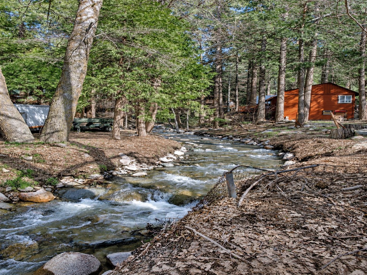 A cabin surrounded by a forest with a flowing stream.