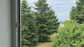 A view through a window of a backyard with a swimming pool, surrounded by trees and a lawn. - Traumblick in die Natur (Hennef (Sieg))