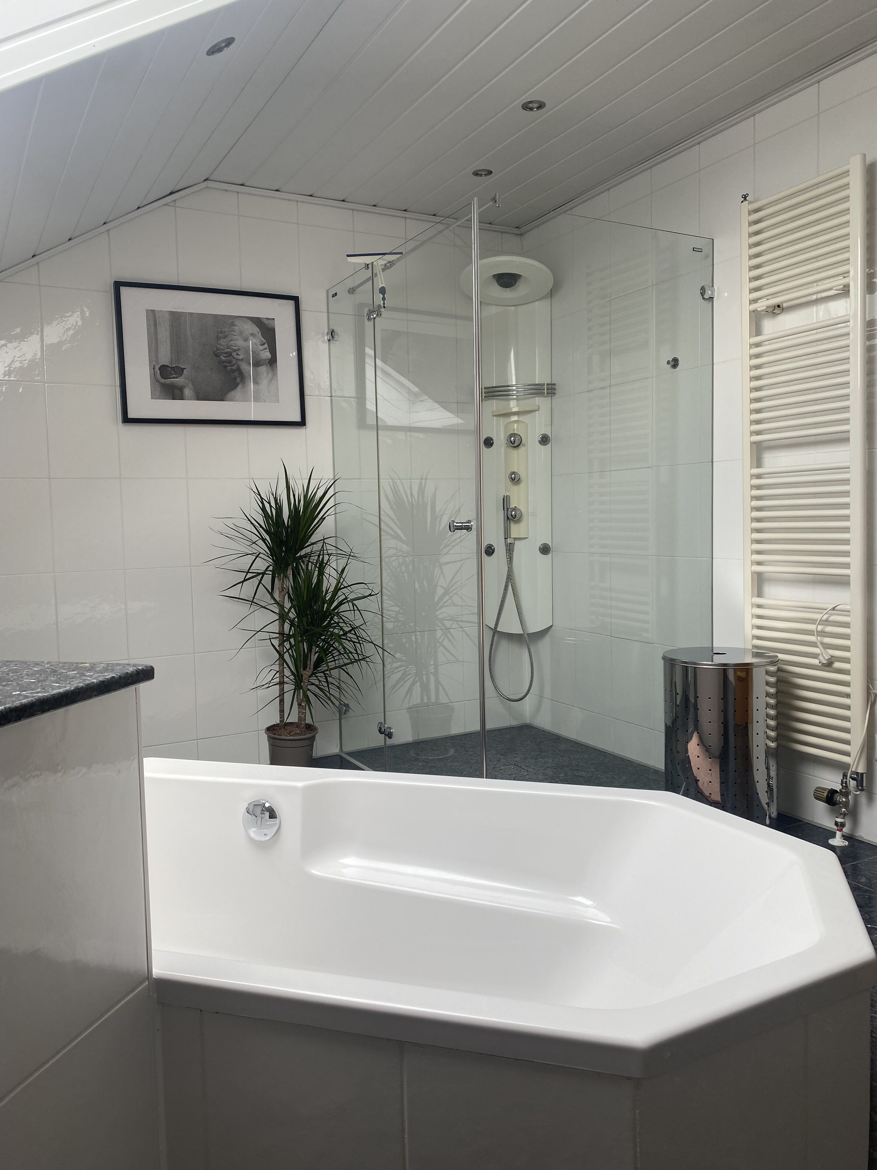 Douche, sèche-cheveux, serviettes fournies, papier toilette