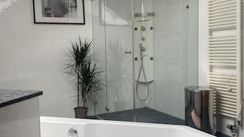 Douche, sèche-cheveux, serviettes fournies, papier toilette
