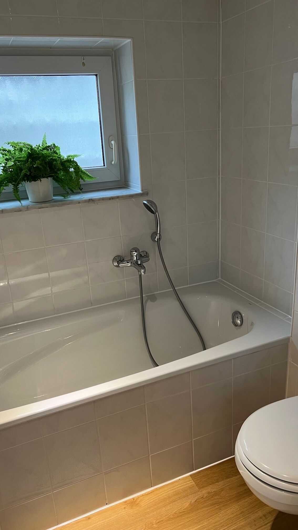 A bathroom with a bathtub, a window with a plant, and a toilet.