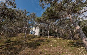 Guesthouse nestled among tall pine trees on a grassy hillside.