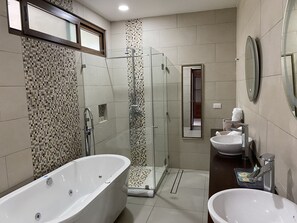 Shower, jetted bath, hair dryer, towels - Nature rich home environment, minutes away from all state parks and beach towns. (Cahuita)