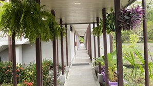 A covered walkway with a tiled floor, flanked by plants and columns. - Nature rich home environment, minutes away from all state parks and beach towns. (Cahuita)