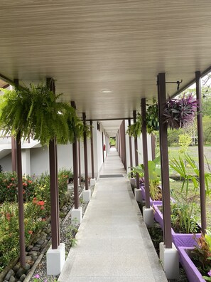 Property grounds - Nature rich home environment, minutes away from all state parks and beach towns. (Cahuita)