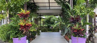 Nature rich home environment, minutes away from all state parks and beach towns.
