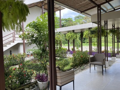 Nature rich home environment, minutes away from all state parks and beach towns.