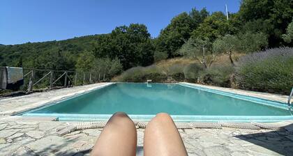 Tuscan modern historical cottage in the hills with own swimming pool