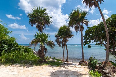 Steps from the Beach Garden Condo