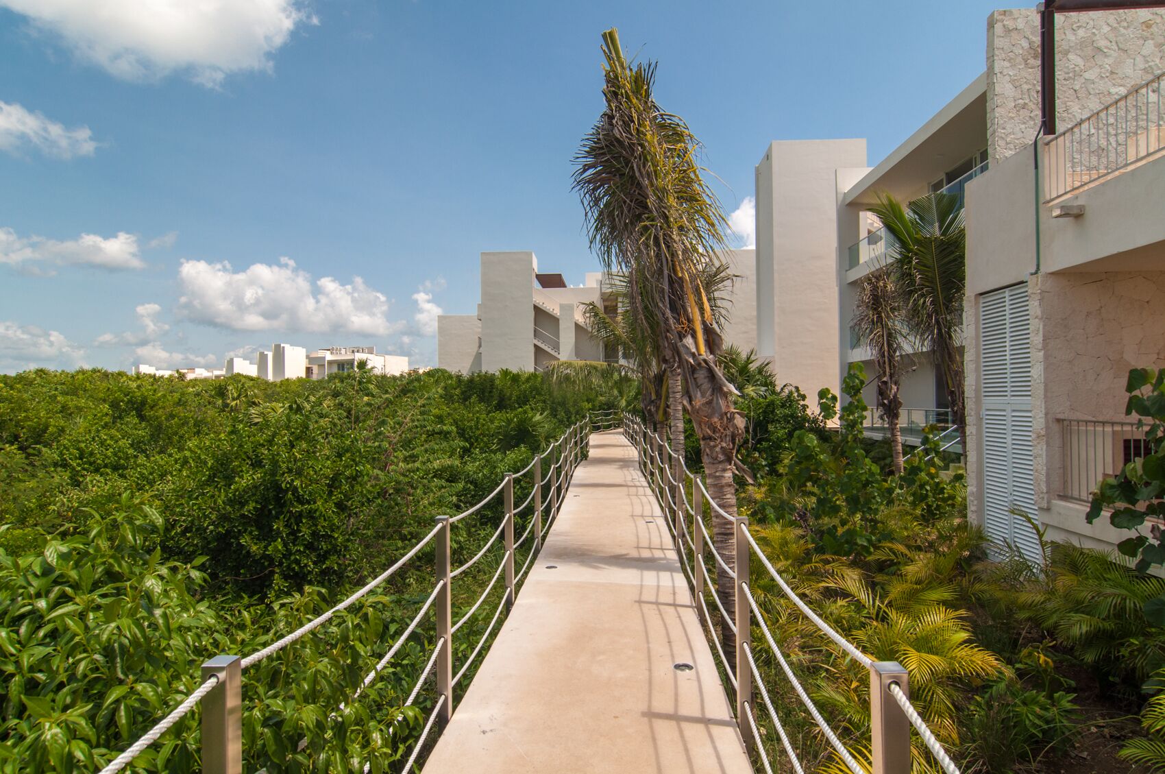 Un chemin menant à un bâtiment à l’architecture moderne, entouré d’une végétation luxuriante et de palmiers.